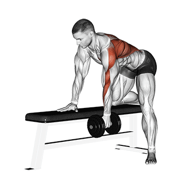 Exercise demonstration of a dumbbell bent-over row