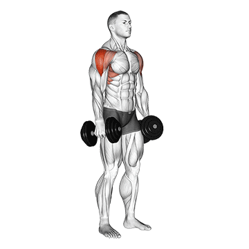 Exercise demonstration of a dumbbell lateral raise