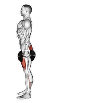 Exercise demonstration of a dumbbell rear lunge
