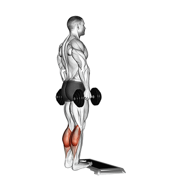 Exercise demonstration of a dumbbell standing calf raise