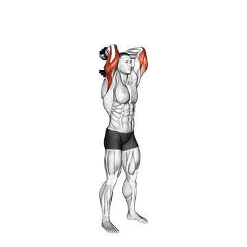 Exercise demonstration of a standing dumbbell triceps extension
