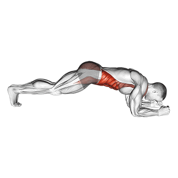 Exercise demonstration of a front plank