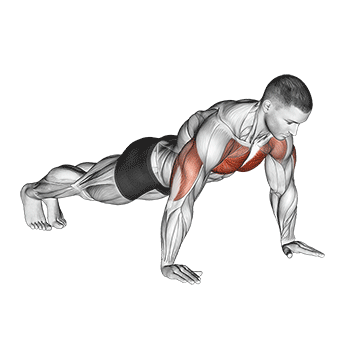 Exercise demonstration of a push-up
