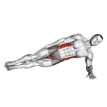 Exercise demonstration of a side plank