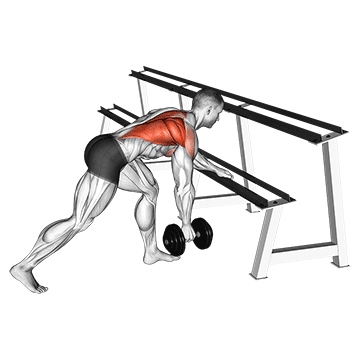 Exercise demonstration of a one-arm dumbbell row