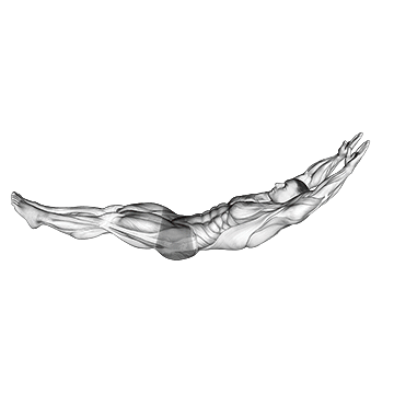 Exercise demonstration of a hollow hold