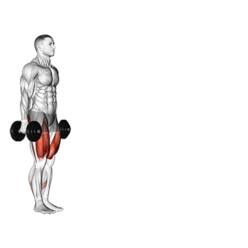 Exercise demonstration of a dumbbell walking lunge