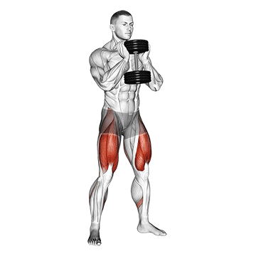 Exercise demonstration of a dumbbell goblet squat