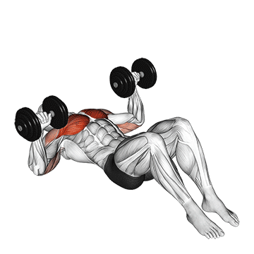 Exercise demonstration of a dumbbell floor chest press