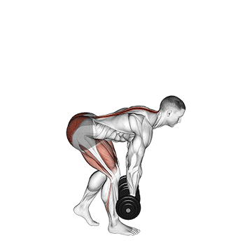 Exercise demonstration of a dumbbell staggered-stance Romanian deadlift